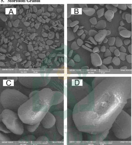 Gambar  11:  SEM  (Scanning  Electron  Microscopy)  pati  Dioscorea  alata  L.  A  (bar 50 µm), B (bar 20 µm), C (bar 10 µm), D (bar 5 µm) 