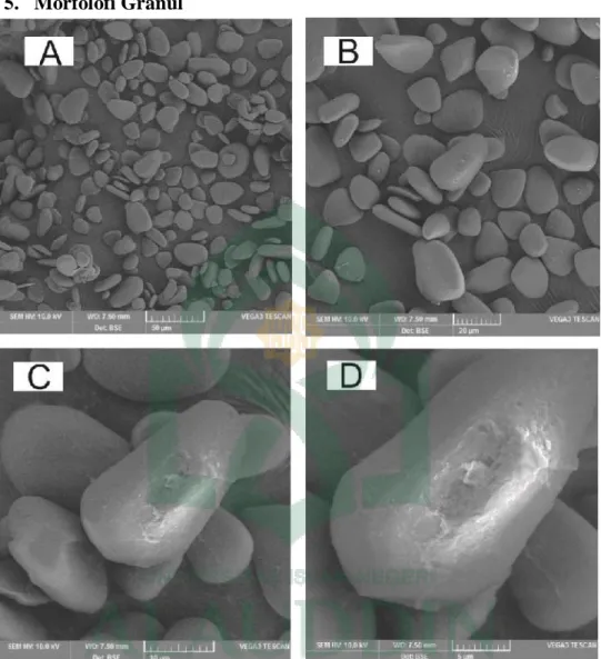Gambar  11:  SEM  (Scanning  Electron  Microscopy)  pati  Dioscorea  alata  L.  A  (bar 50 µm), B (bar 20 µm), C (bar 10 µm), D (bar 5 µm) 