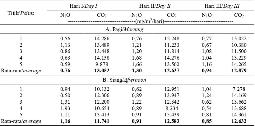 Gambar 2. Skema plot contoh pengukuran (Hairiah & Rahayu, 2007) 