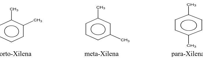 Gambar 2.10 Reaksi sintesis xilena dari n-oktana 