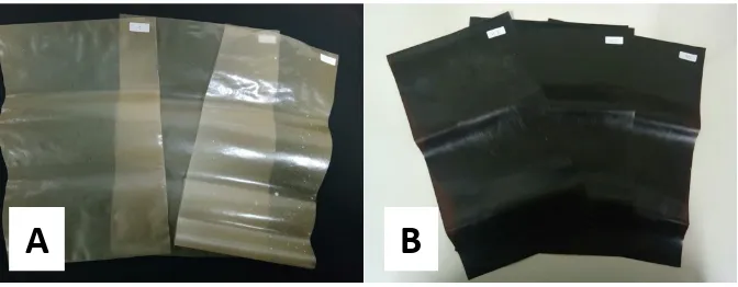 Figure 2.  Bioplastic composite of cellulose from pod cacao and starch: (A) bioplastic without tithonia extract and (B) 
