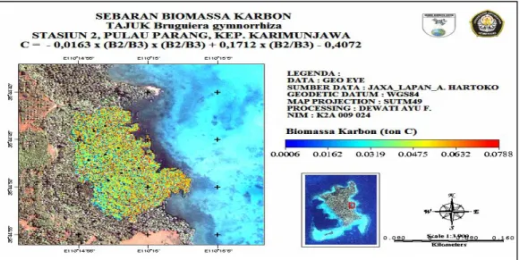 Gambar 5.  Sebaran Biomassa Karbon Tajuk Bruguiera gymnorrhiza di Stasiun II  Pulau Parang,          Kepulauan Karimunjawa 