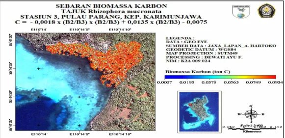 Gambar 6.  Sebaran Biomassa Karbon Tajuk Rhizophora mucronata di Stasiun III Pulau Parang,           Kepulauan Karimunjawa 