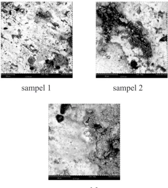 Gambar 7. Hasil pengujian mikro spesimen yang  mengalami korosi