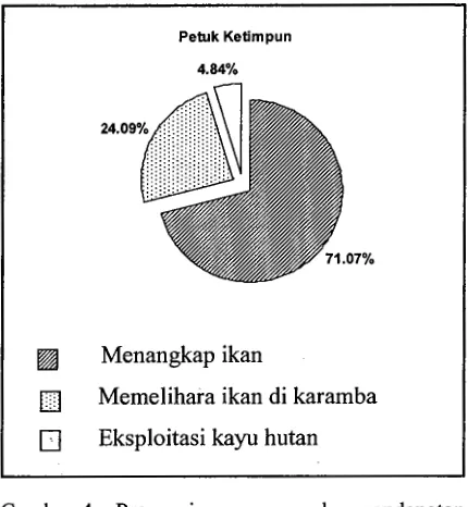 Gambar 4. Proporsi peranan sumber pendapatan 