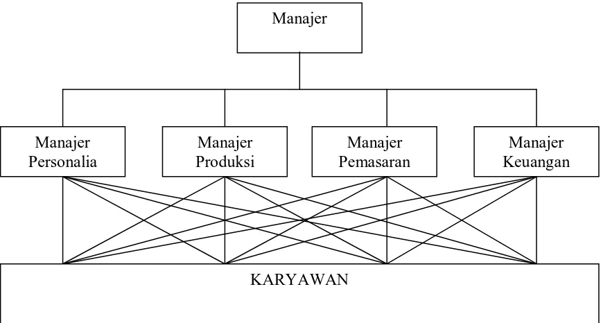 Gambar 3.3 Struktur Organisasi Fungsional  