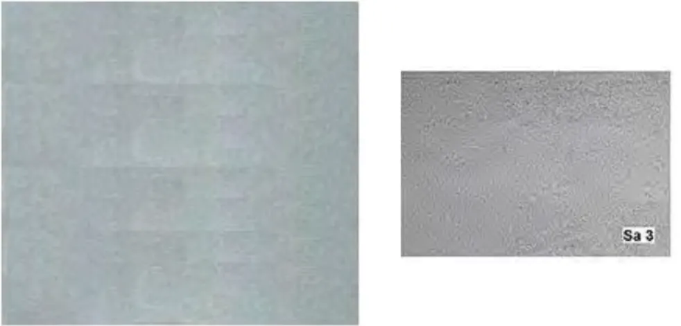 Gambar 0.7 Inspeksi visual hasil Blasting dengan material abrasif Volcanic Sand 