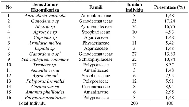 Tabel 1. Jenis dan Famili Jamur Ektomikoriza Pada 15 Plot Pengamatan 