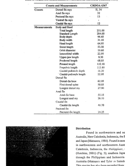 Table 1. Counts and measurements ofThamnaconus tessellatus (Gunther, 1880) 