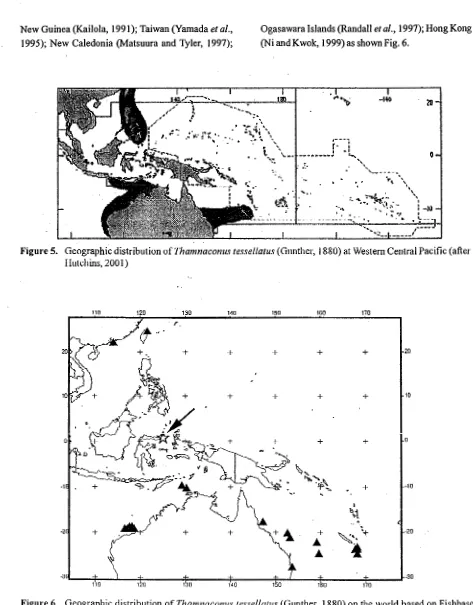 Figure 5. Geographic distribution of Thamnaconus tessellatus (Gunther, 1880) at Western Central Pacific (after 