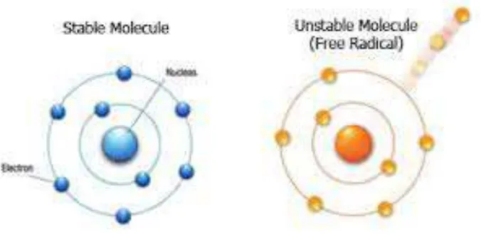 Gambar 2.1. Struktur radikal bebas 