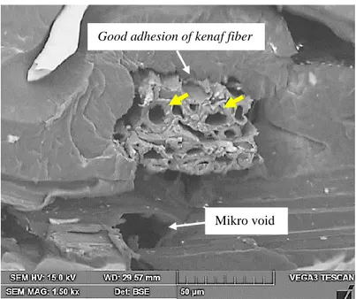 Gambar  4.10.  merupakan  struktur  mikro  serat  kenaf  yang  diambil  pada  perbesaran 1500 kali dengan skala 50 μm menunjukkan potongan permukaan serat  kenaf berbentuk sponge  (berlubang – lubang)