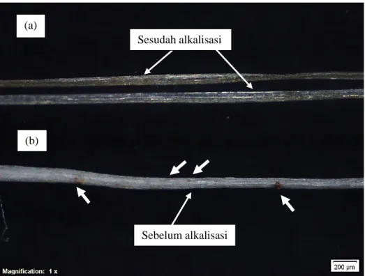 Gambar 4.1. Foto optik serat kenaf. (a) sesudah alkalisasi (b) sebelum alkalisasi    Foto  mikro  menggunakan  perbesaran  1  kali  dengan  skala  200  μm  merupakan  penampang  serat  kenaf  sebelum  alkalisasi  dan  serat  kenaf  sesudah  alkalisasi
