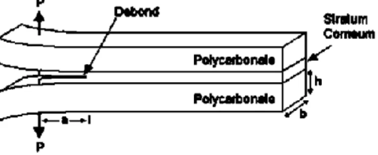 Gambar 2.13 Debonding (Schwartz, 1984) 