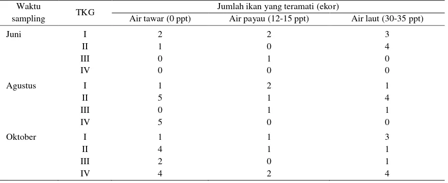 Tabel 6. Nilai TKG ikan sumpit betina selama penelitian berdasarkan diameter telur 