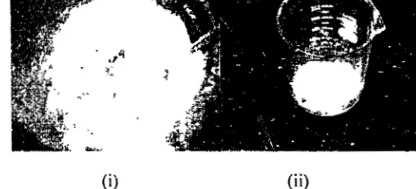 Gambar 5.5.  (i)  Campuran  Asam  Lemak,  Deta,  dan  Kalsium  Oksida  Sebelum  Diiradiasi  (ii)  Setelah  Diiradiasi 