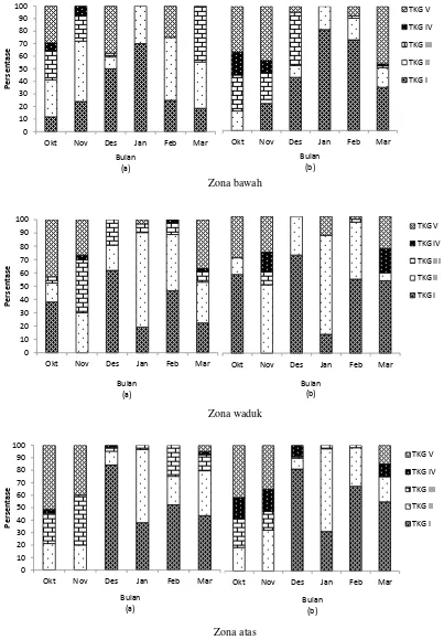 Gambar 3. Persentase tingkat kematangan gonad ikan brek (a) jantan dan (b) betina per bulan pada tiap zona  