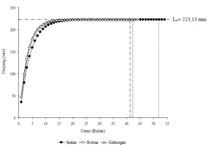Tabel 3. Parameter populasi ikan siro (S. atricauda) di perairan Teluk Kendari 
