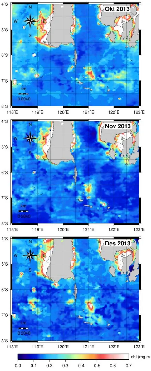 Gambar 3. Distribusi konsentrasi klorofil-a (chl-a-Aqua/MODIS) dalam mg m-3 di Perairan Laut Flores  periode Oktober-Desember 2013 (warna abu-abu menunjukkan daratan) 