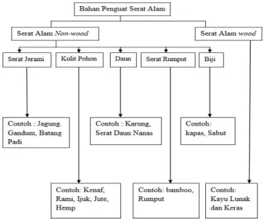Gambar 2.6. Klasifikasi Jenis Serat Alam (Loan, 2006). 