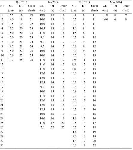 Tabel 1. Panjang baku (SL), jumlah lingkaran (DI) pada otolit dan umur (DI+3) juwana ikan red devil selama sampling Desember 2013 sampai Maret 2014  