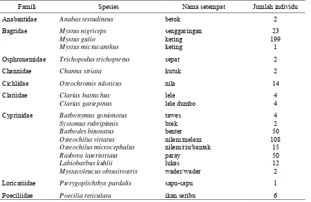 Tabel 2. Spesies ikan yang dikoleksi selama survei di Sungai Cikawung 