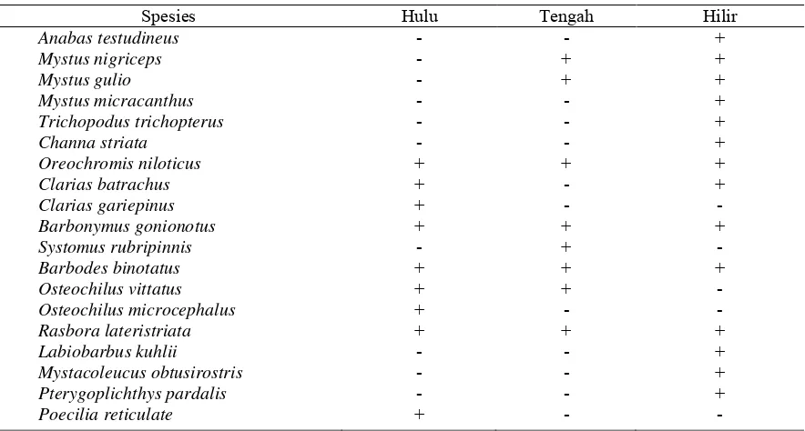Tabel 3. Persebaran longitudinal spesies ikan sepanjang Sungai Cikawung 