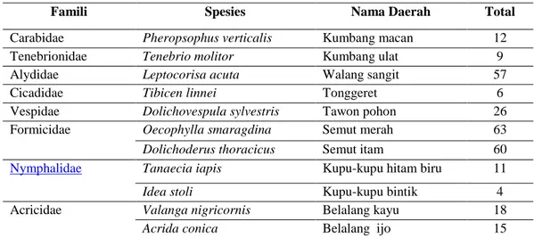Tabel 2. Jumlah Insekta yang Ditemukan  
