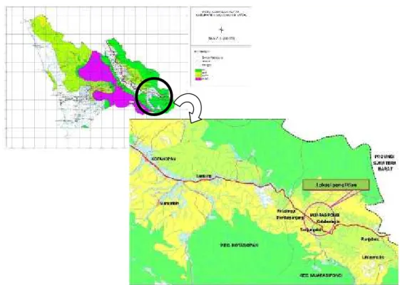 Gambar 1. Peta lokasi penelitian yaitu Kecamatan Muarasipongi, Kabupaten Mandailing Natal, Provinsi Sumatera Utara.