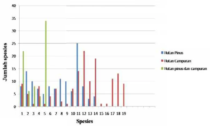 Gambar 2. Grafik jenis dan jumlah burung yang terdata saat pengamatan di hutan pinus dan hutan campuran Muarasipongi Agustus 2013.