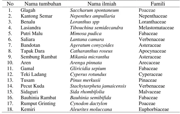 Tabel 3. Jenis tumbuhan yang ditemukan di hutan pinus Muarasipongi.