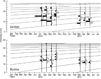 Gambar 4. Restrukturisasi grafik frekuensi panjang ikan belanak hasil tangkapan bulan Juli-Oktober 2012        dan Maret-Mei 2013 untuk mendapatkan kurva pertumbuhan melalui beberapa modus frekuensi     panjang