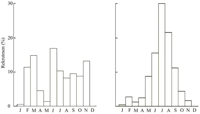 Gambar 5. Grafik kurvatur pertumbuhan panjang ikan belanak jantan (lingkaran terbuka) dan  betina (ling-    karan tertutup) pada setiap tahun di Muara Sungai Opak