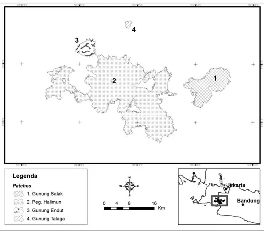 Gambar 4  Peta sebaran patch kelas kesesuaian tinggi di kawasan TNGHS  b.  Karakteristik  Habitat Elang Jawa 