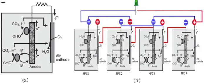 Gambar 1 (a) Desain system MFC satu bejana (Liu dan Logan 2004); (b) Desain    MFC dengan rangkaian seri.