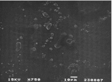 Gambar 4.2.  Hasil foto SEM dari suspensi SLN. Titik-titik kecil menunjukkan  partikel SLN yang berhasil terbentuk