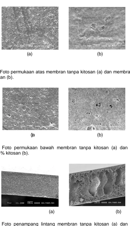 Gambar 3  Foto permukaan atas membran tanpa kitosan (a) dan membran dengan  29.4% kitosan (b)