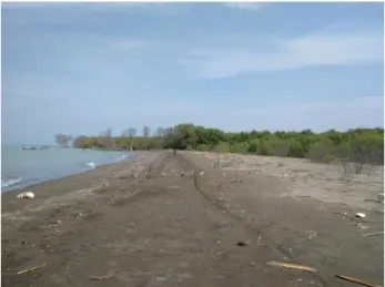 Gambar  1.  Pergeseran  Garis  Pantai  Akibat  Kerusakan  Ekosistem hutan Mangrove di  Daerah Pesisir 