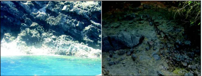 Gambar 2.  Singkapan batuan beku yang teridentifikasi di bagian utara (Tg. Bukide) dan barat (Mangindano) Pulau Marore