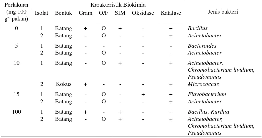 Tabel 6. Gambaran darah ikan mas pada penambahan minyak cengkeh dalam pakan dengan dosis berbeda 