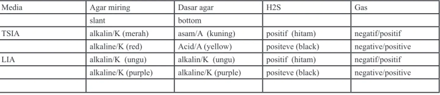 Tabel 1 Interpretasi hasil uji Salmonella sp. pada TSIA dan LIA  Table 1 Interpretation of Salmonella sp