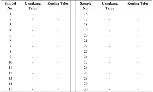Tabel  1.  Hasil  identifikasi  pertumbuhan  bakteri  patogen  Salmonella  sp.dari  telur  ayam  ras  pada  media 