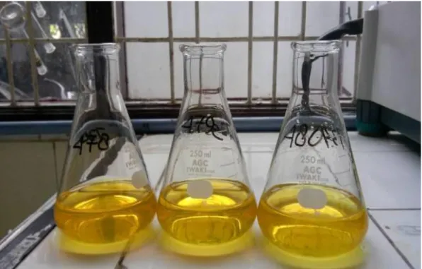 Gambar 8 : Perubahan warna yang terjadi pada sampel Air Minum yaitu kuning  kemerahan pada Titik Akhir Titrasi setelah di titrasi dengan larutan  AgNO 3  0,0141 N 