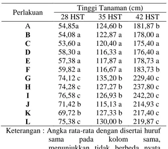 Tabel  2.  Pengaruh  Kombinasi  Jarak  Tanam  dan  Jenis  Pupuk  Kandang  Terhadap  Tinggi Tanaman (cm) Umur  28, 35,  dan 42 HST 