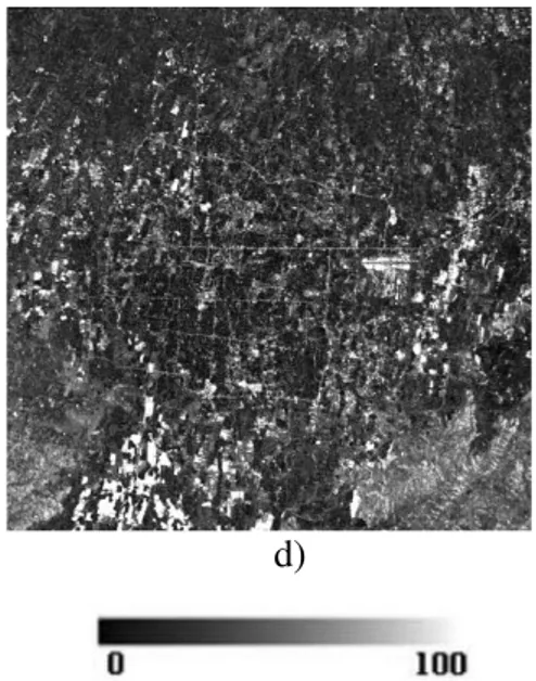 Gambar 1.3 Citra fraksi endmember a)  vegetasi, b) tanah, dan c) permukaan kedap 