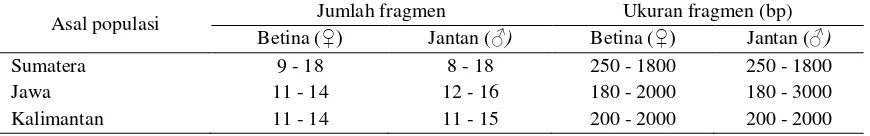 Gambar 1. Titik pengukuran  truss morphometric ikan tengadak. A1 (ujung mulut - ujung operkulum ba-wah), A2 (ujung mulut - batas akhir tulang kepala), A3 (ujung mulut - sirip ventral), A4 (ujung operkulum bawah - batas akhir tulang kepala), A5 (ujung operk