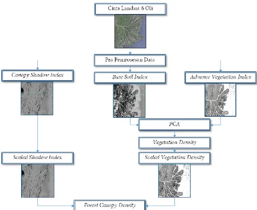 Gambar 4. Tahapan model Forest Canopy Density (FCD). 