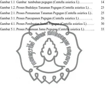Gambar 1.2. Proses Budidaya Tanaman Pegagan (Centella asiatica L)… 