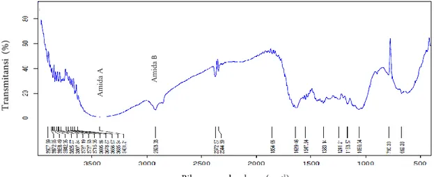 Gambar 4 Fourier Transform Infrared (FTIR) Spectroscopy kolagen dari kulit ikan         C
