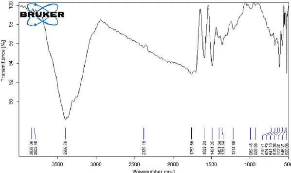 Gambar 11 Spektrum Infrared Gelatin Tulang Ikan Mujair  Spektrum  IR  gelatin  menunjukkan 